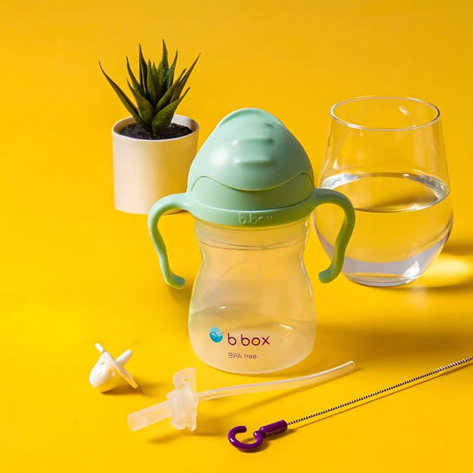 Repuesto Bombillas Vaso Sippy