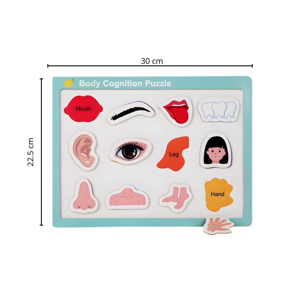 Tablero de Encaje Magnético Cuerpo Humano