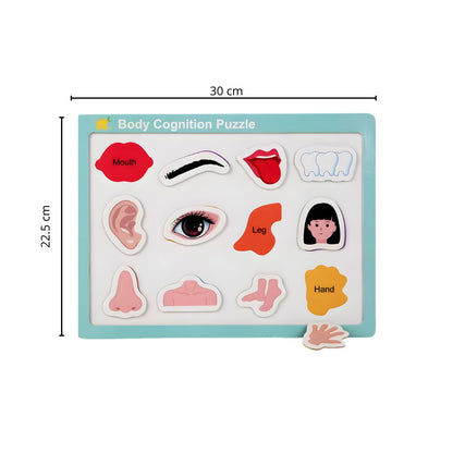 Tablero de Encaje Magnético Cuerpo Humano