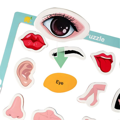 Tablero de Encaje Magnético Cuerpo Humano