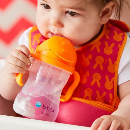 Vaso Sippy Orange Zing